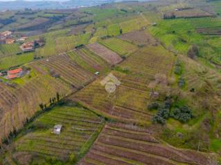Terreno agricolo in vendita a monteforte d'alpone via romano dian, 83
