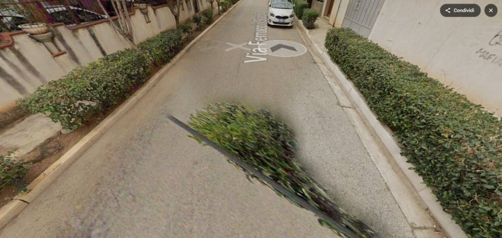 immagine annuncio 9 di 12