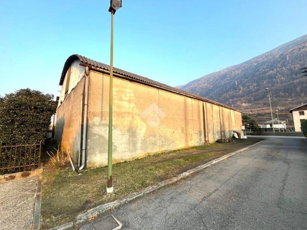 immagine annuncio 5 di 12
