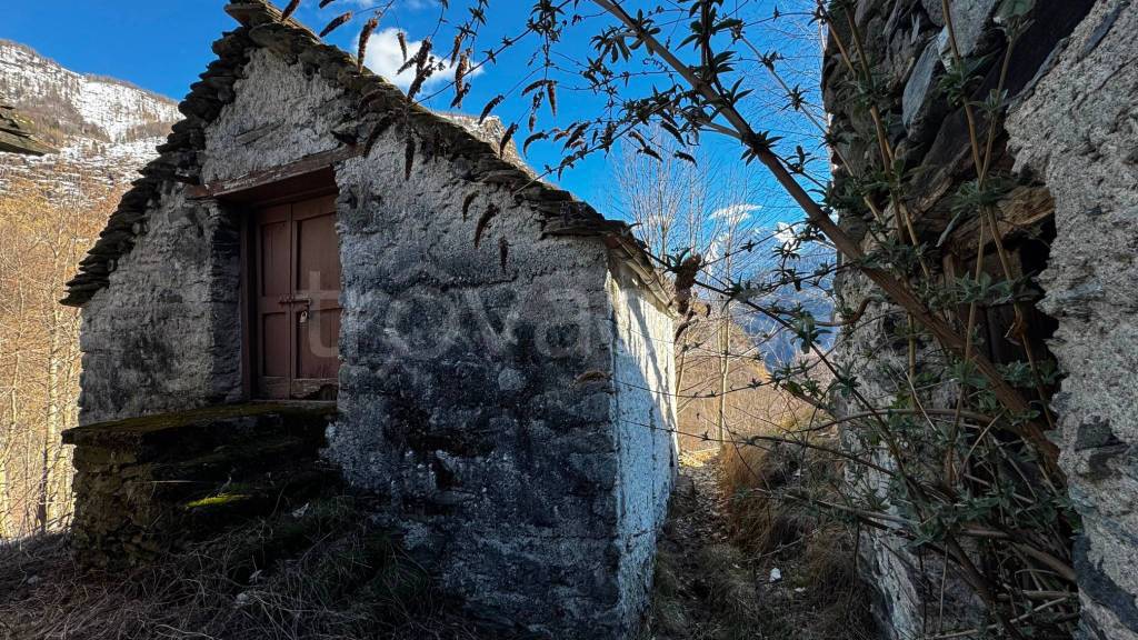 immagine annuncio 1 di 12