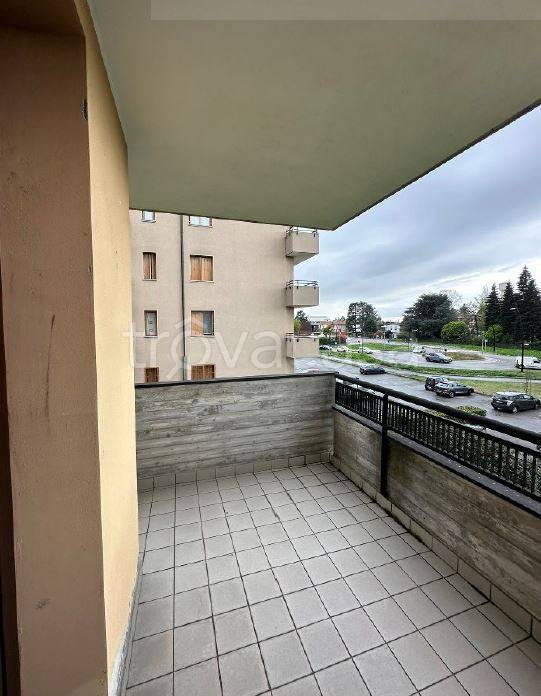 immagine annuncio 10 di 14