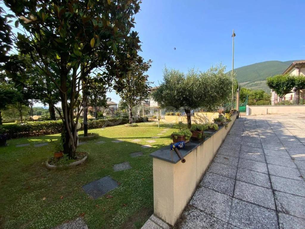 immagine annuncio 10 di 12