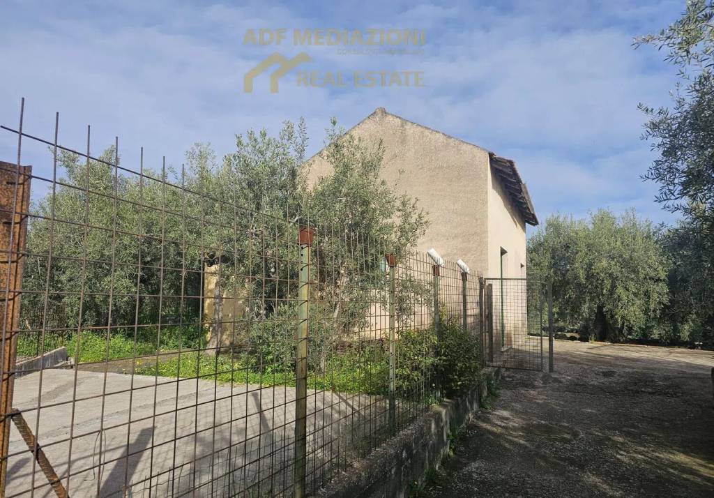 immagine annuncio 3 di 9