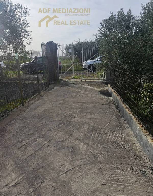 immagine annuncio 7 di 9
