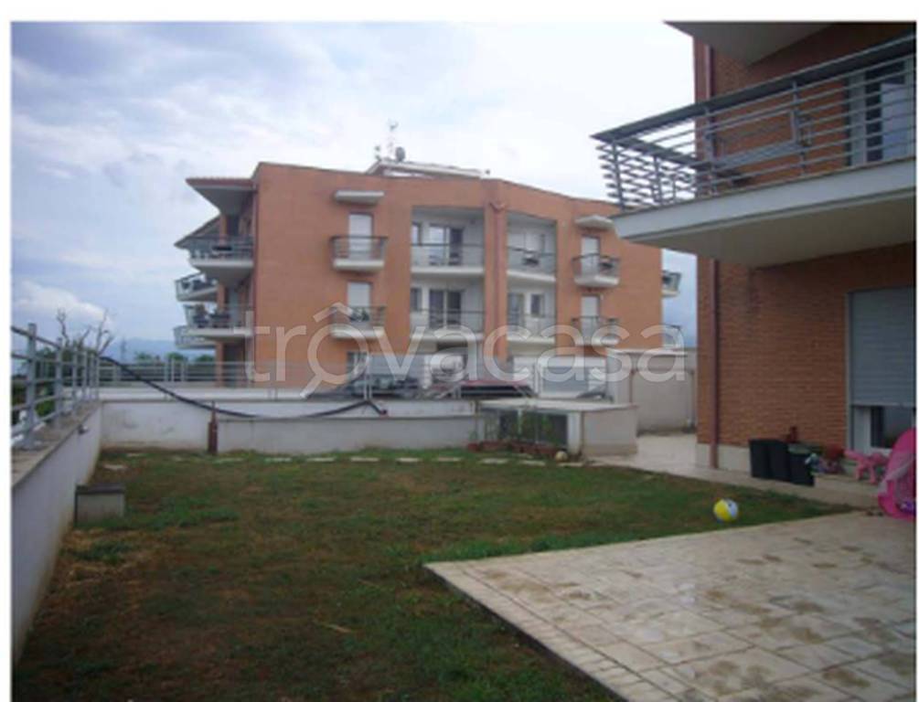 immagine annuncio 2 di 11