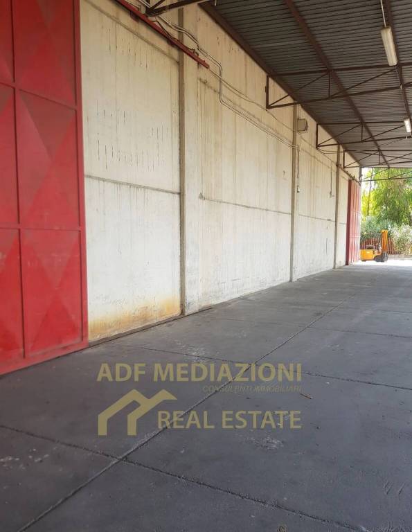 immagine annuncio 1 di 8