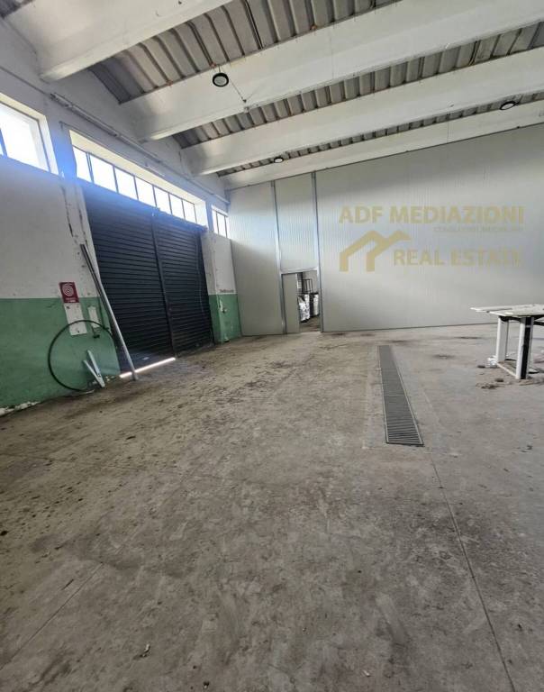 immagine annuncio 5 di 8