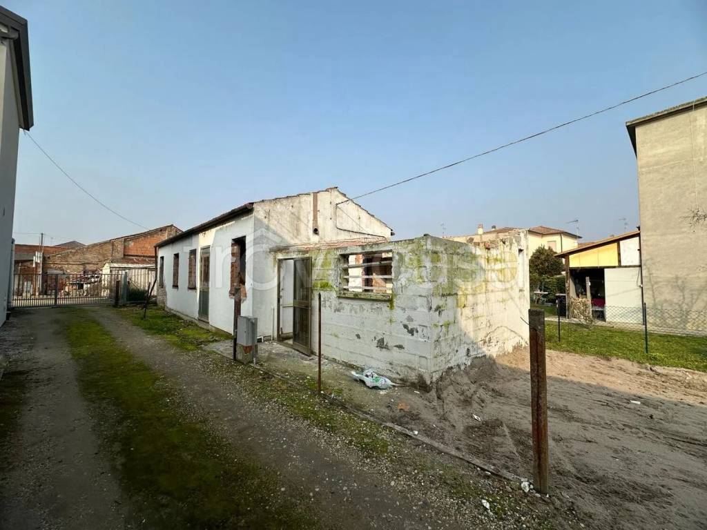 immagine annuncio 10 di 14