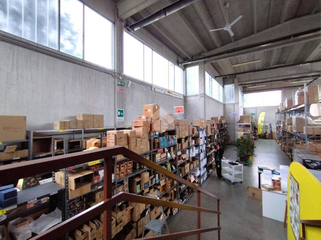 immagine annuncio 4 di 15