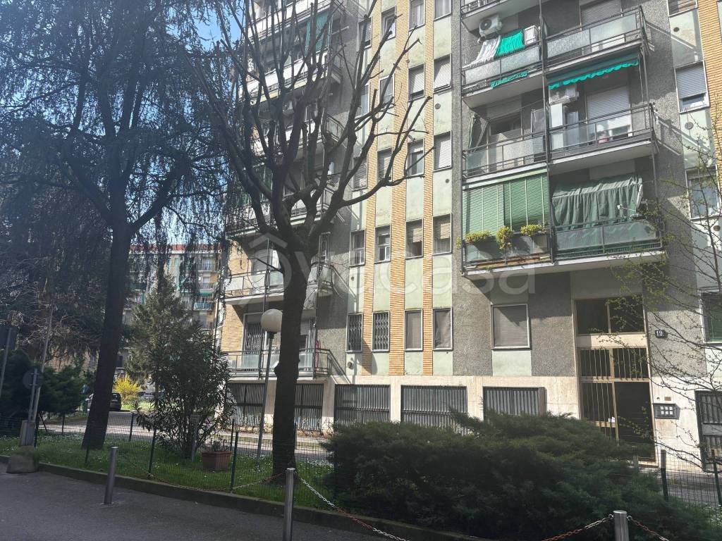 immagine annuncio 1 di 15