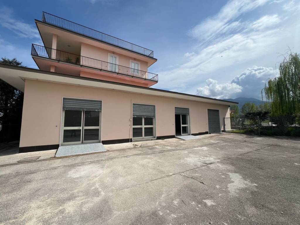 immagine annuncio 1 di 13