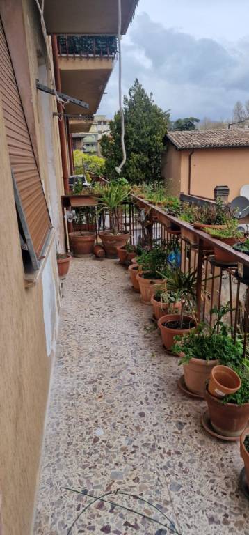 immagine annuncio 4 di 6
