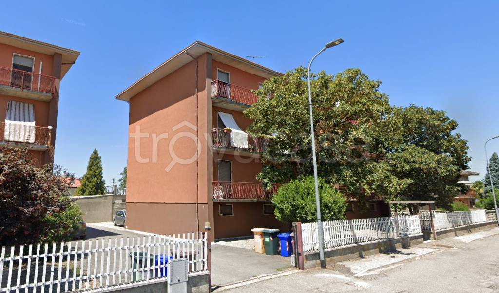 immagine annuncio 5 di 15