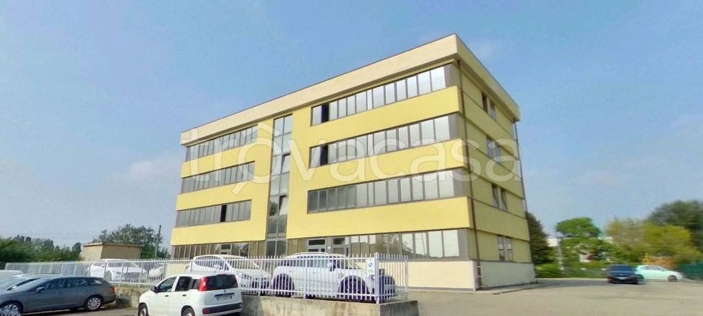 immagine annuncio 5 di 9