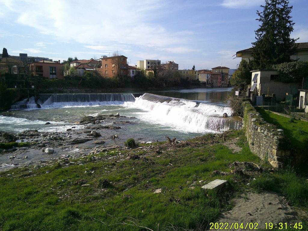 immagine annuncio 2 di 6