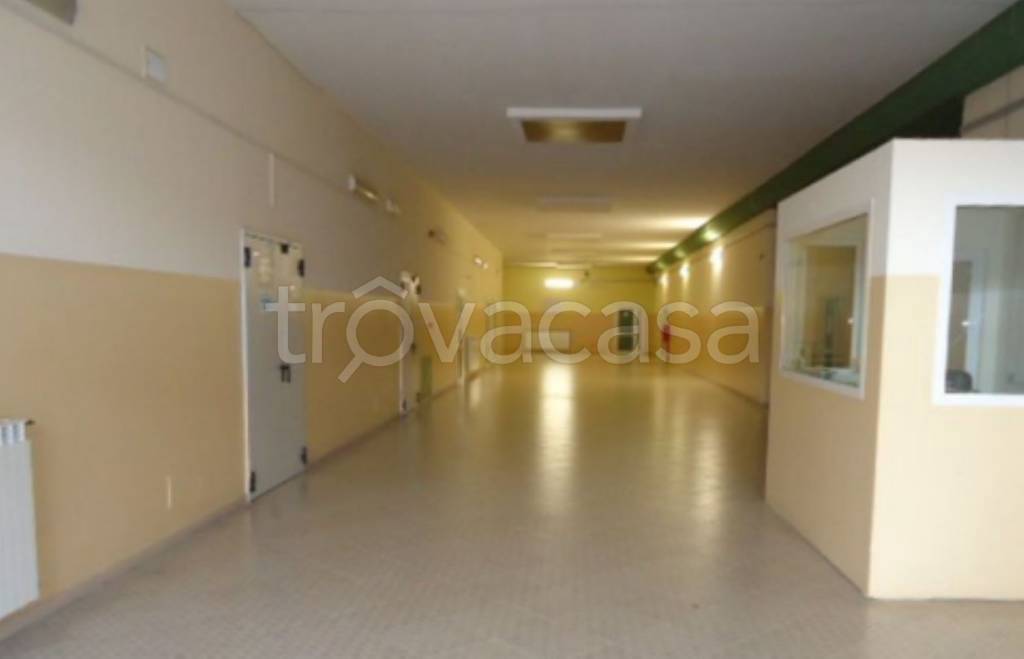 immagine annuncio 11 di 14
