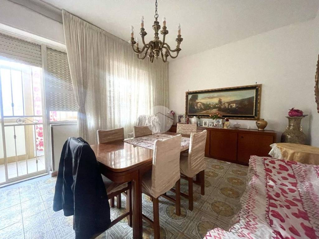 immagine annuncio 2 di 12