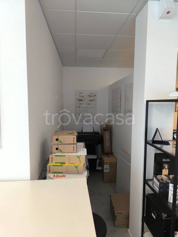 immagine annuncio 1 di 6