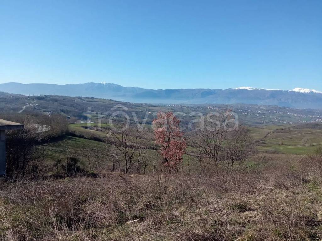immagine annuncio 2 di 6