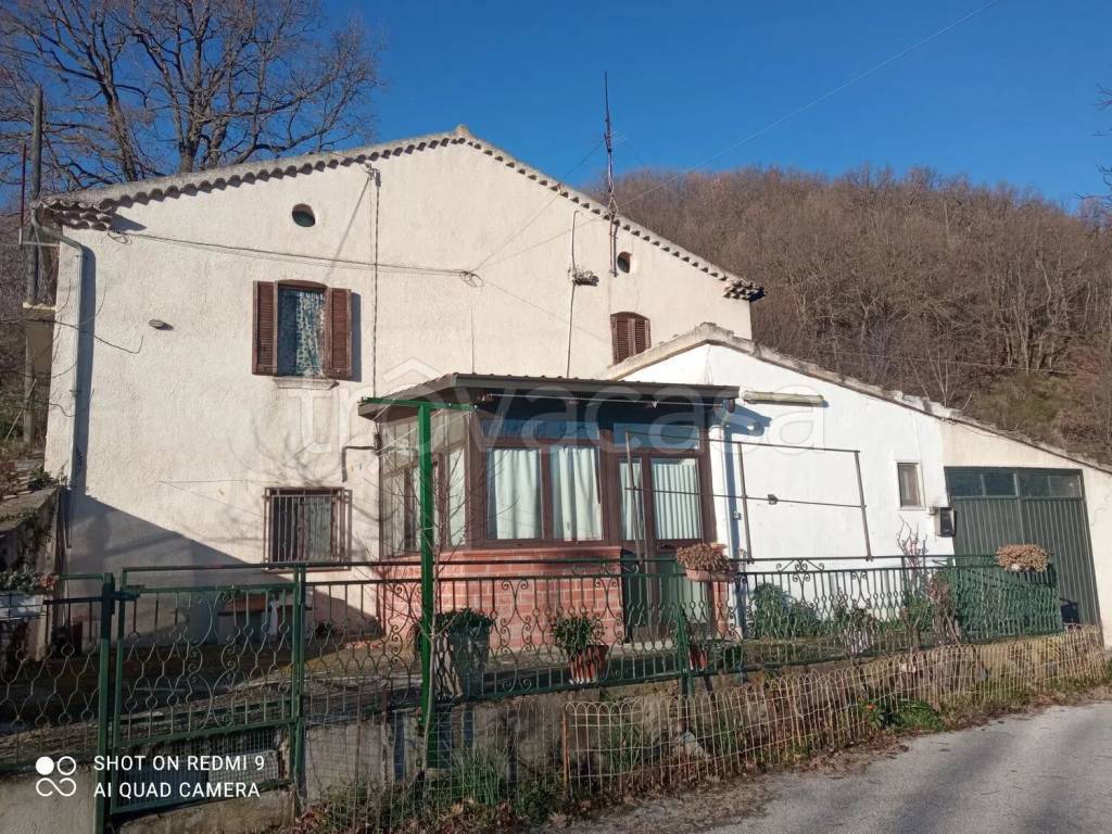 immagine annuncio 2 di 8