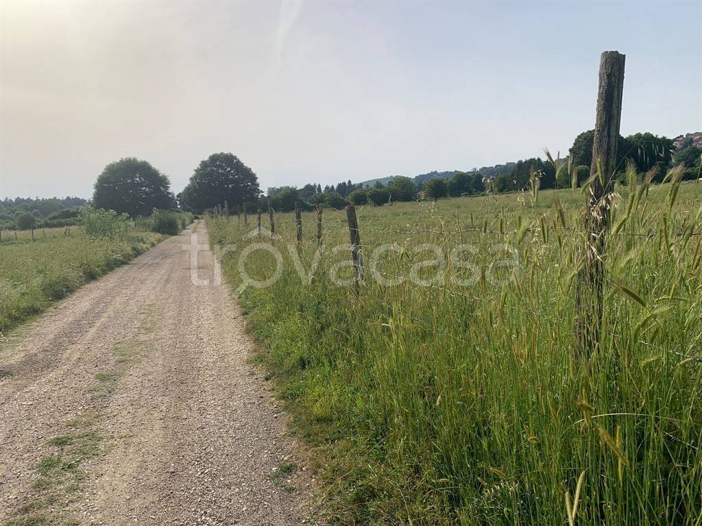 immagine annuncio 5 di 14