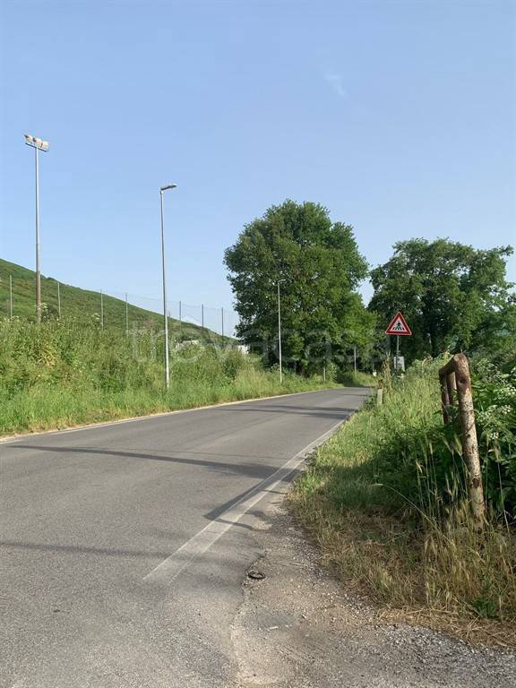 immagine annuncio 13 di 14