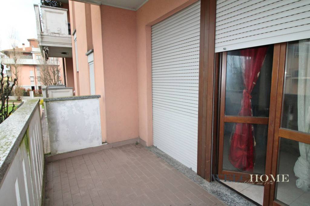 immagine annuncio 7 di 15