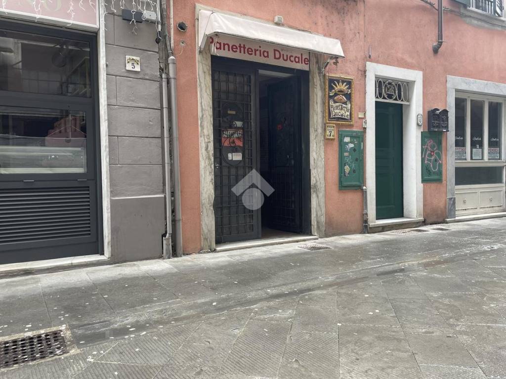 immagine annuncio 2 di 13