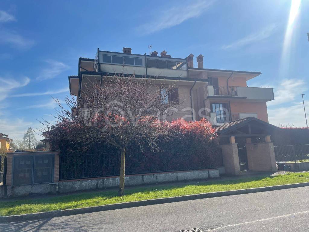 immagine annuncio 3 di 15