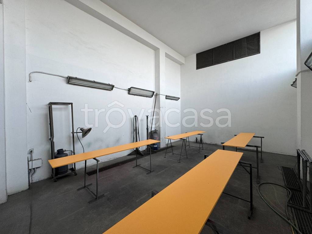 immagine annuncio 9 di 15