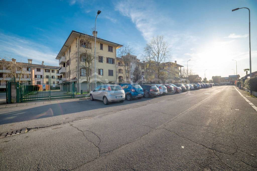 immagine annuncio 12 di 15
