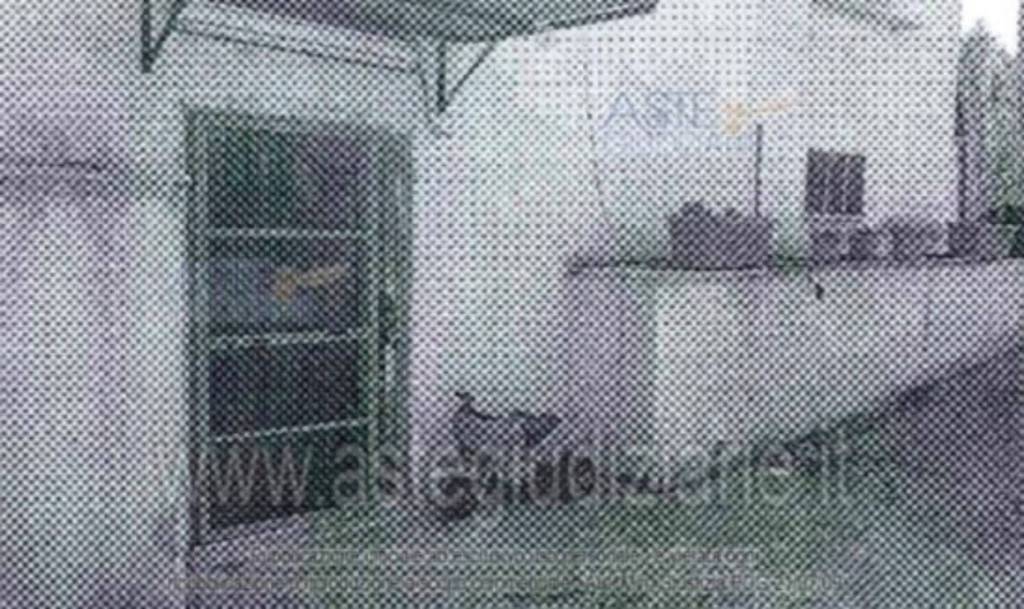 immagine annuncio 7 di 12