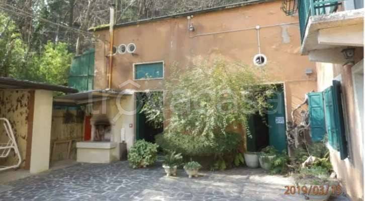 immagine annuncio 1 di 6