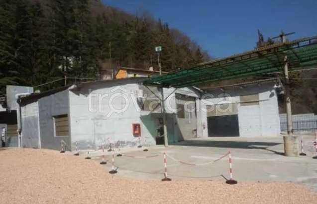 immagine annuncio 4 di 6
