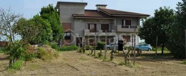 immagine annuncio 1 di 7