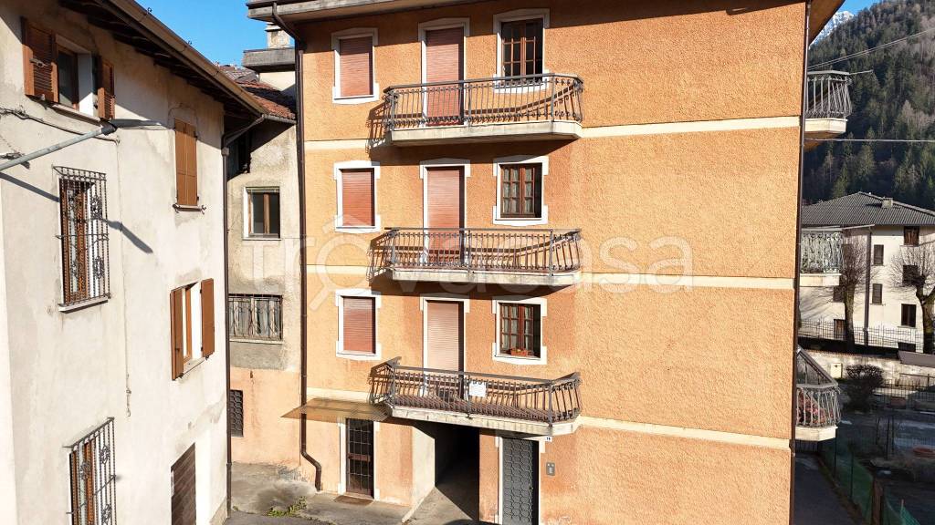 immagine annuncio 2 di 8