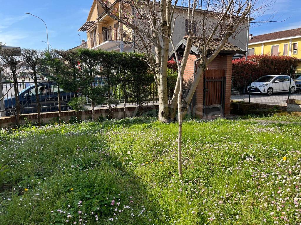 immagine annuncio 1 di 15