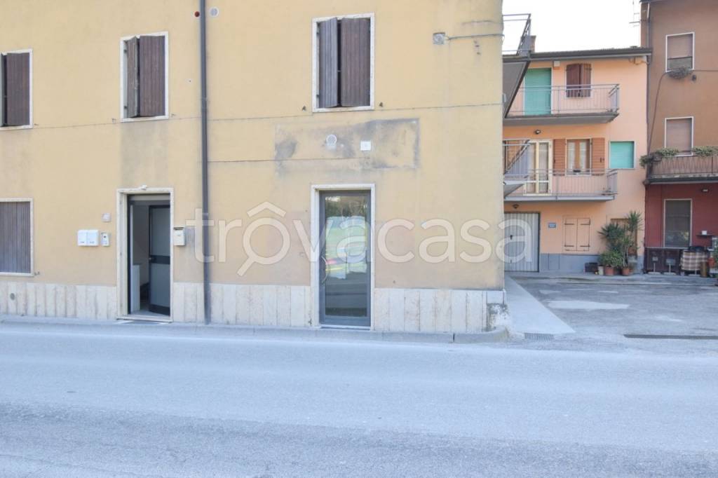 immagine annuncio 2 di 14