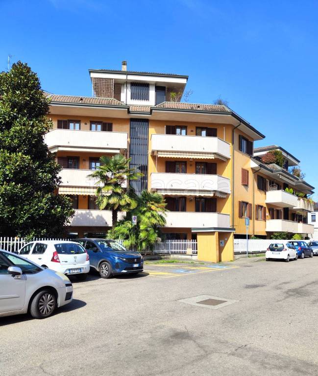 immagine annuncio 5 di 15