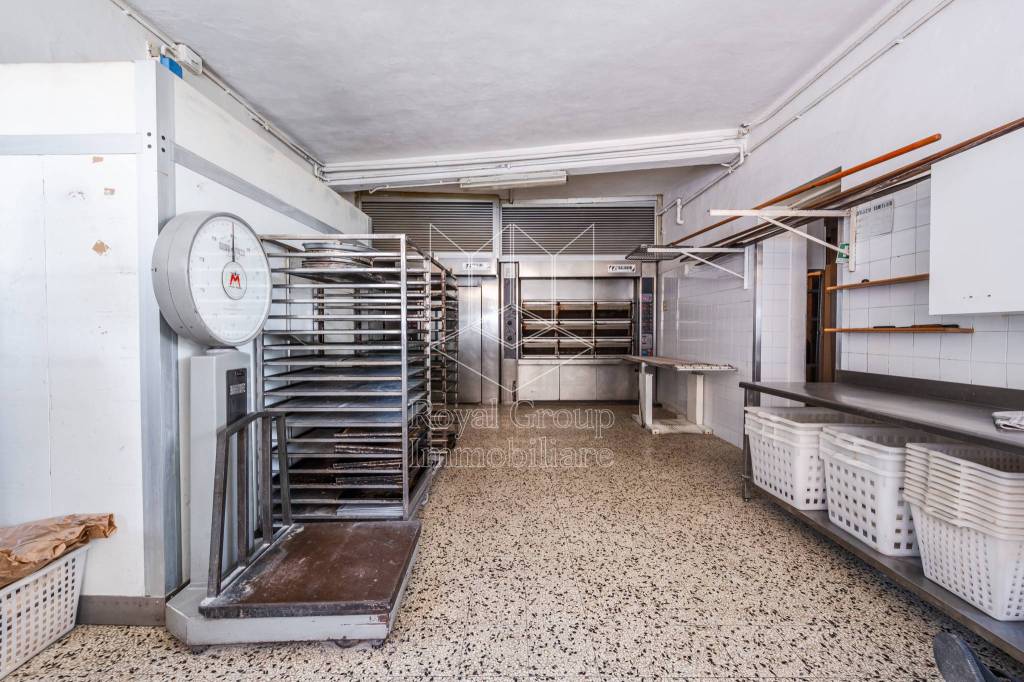 immagine annuncio 6 di 14