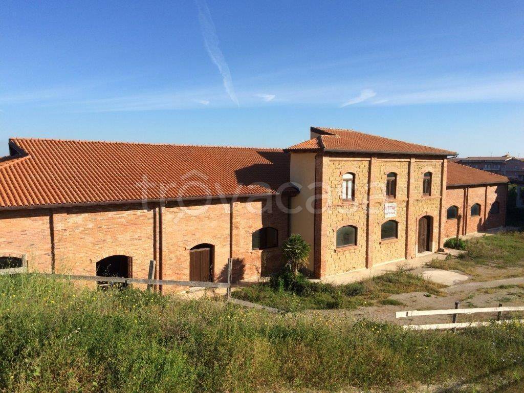 immagine annuncio 5 di 14