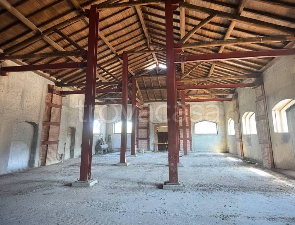 immagine annuncio 9 di 14