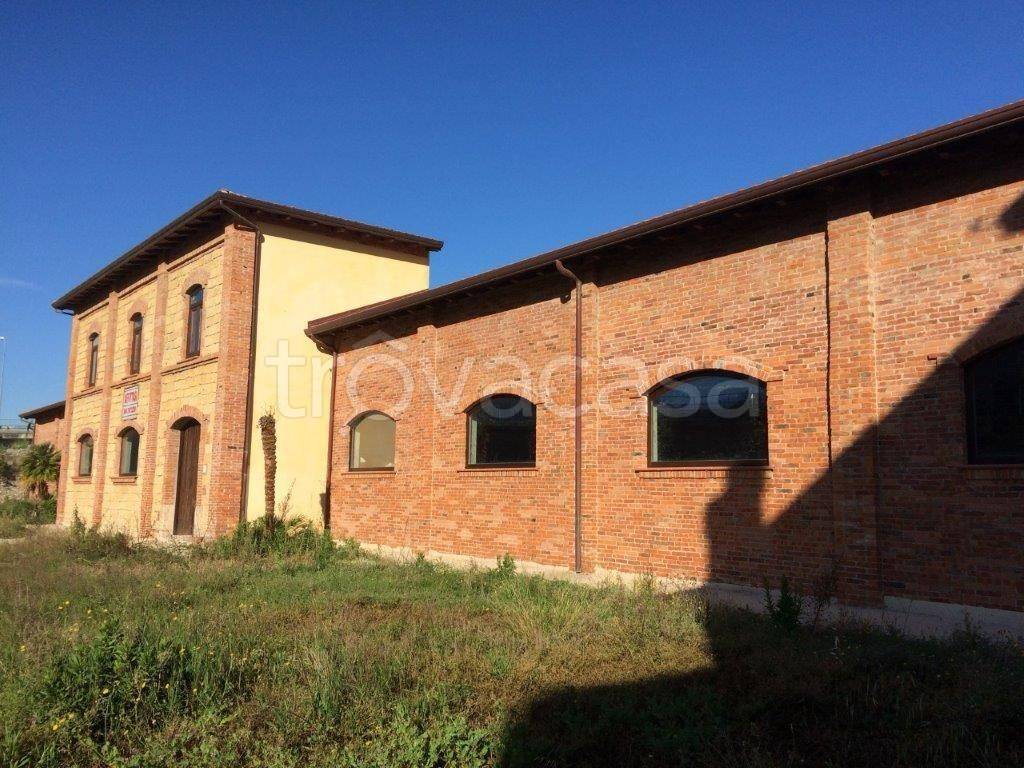immagine annuncio 3 di 14