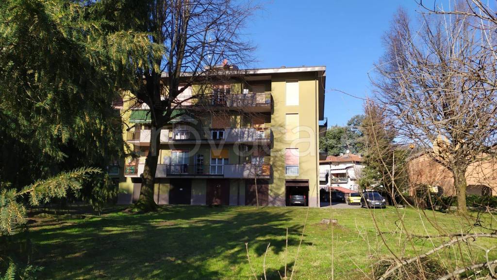immagine annuncio 3 di 12