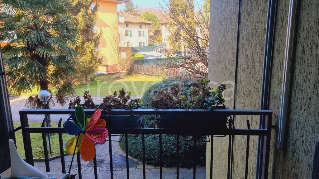 immagine annuncio 5 di 12
