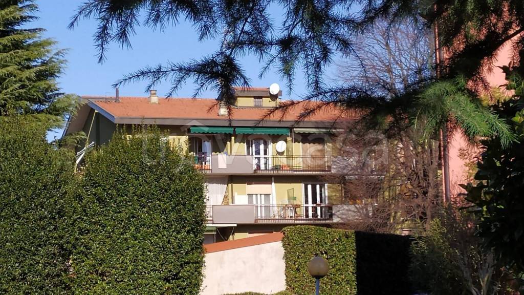 immagine annuncio 11 di 12
