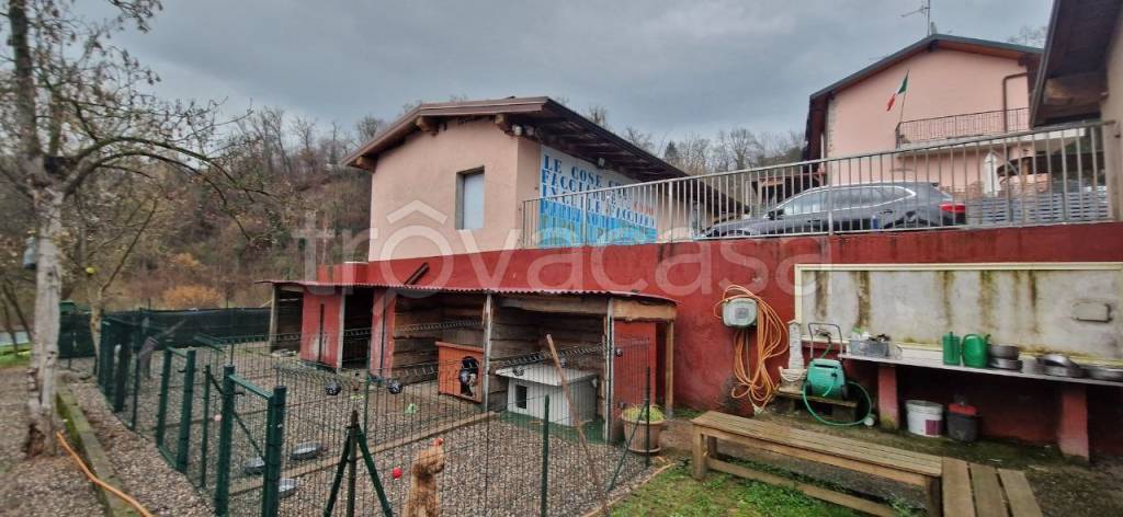 immagine annuncio 12 di 15
