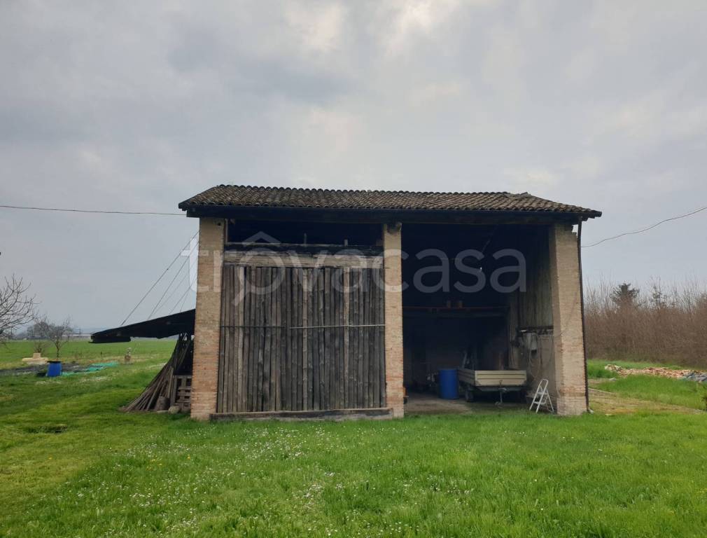 immagine annuncio 3 di 11