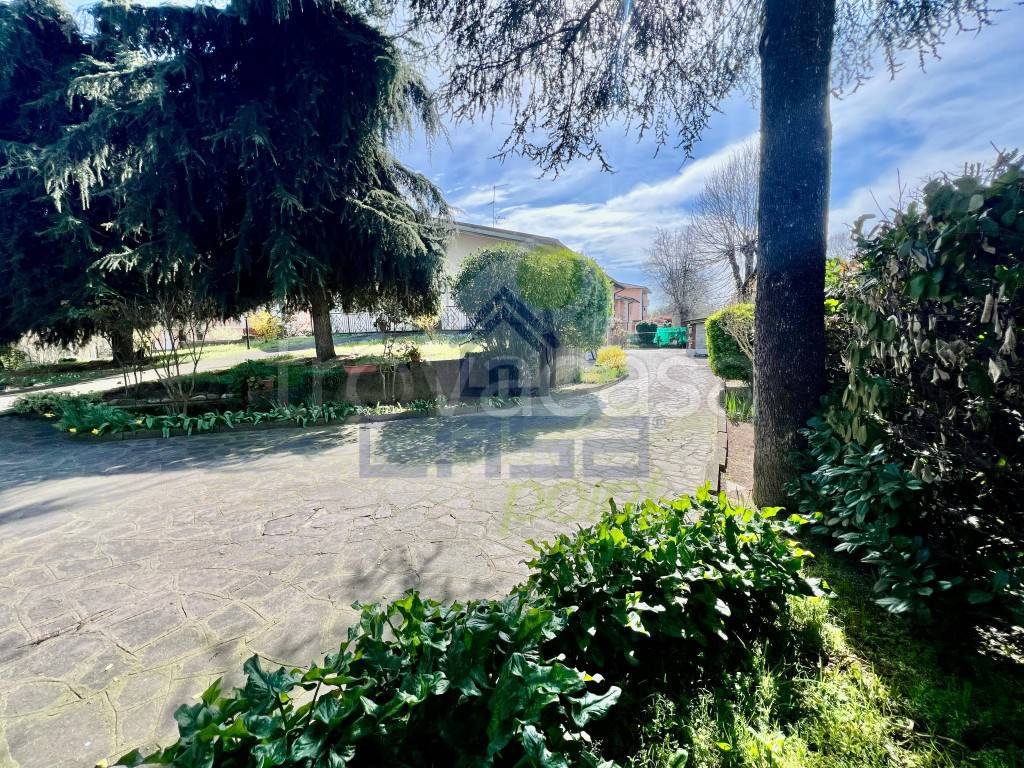 immagine annuncio 10 di 15