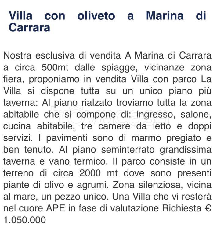 immagine annuncio 3 di 12